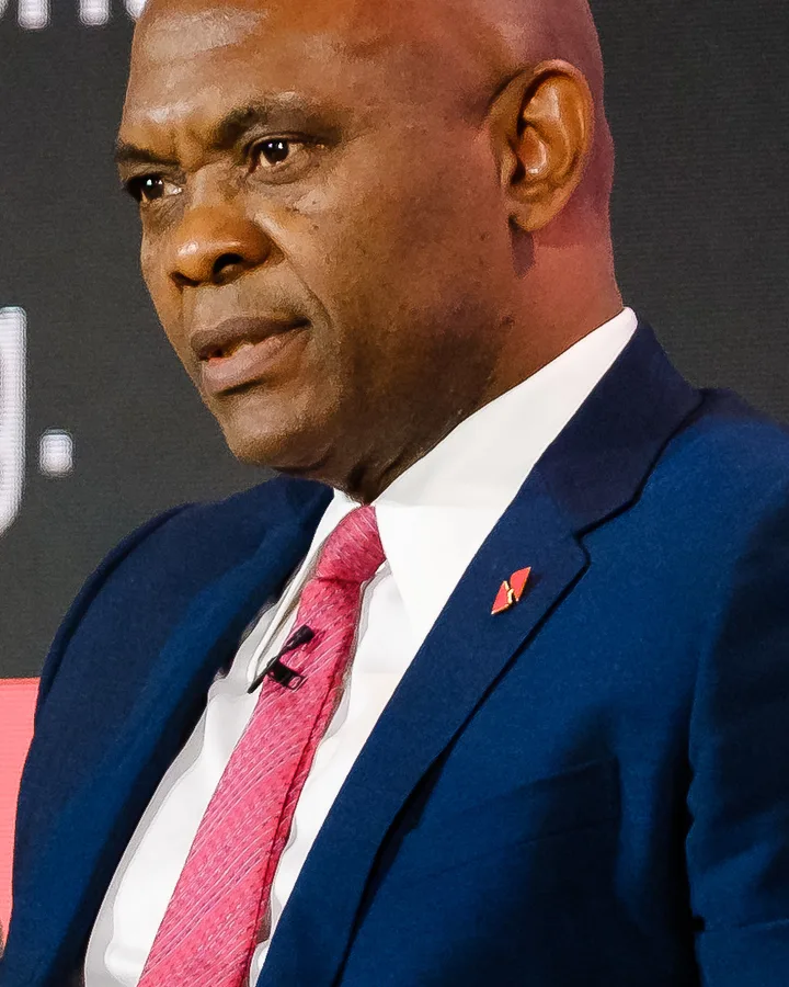Portrait of Tony Elumelu