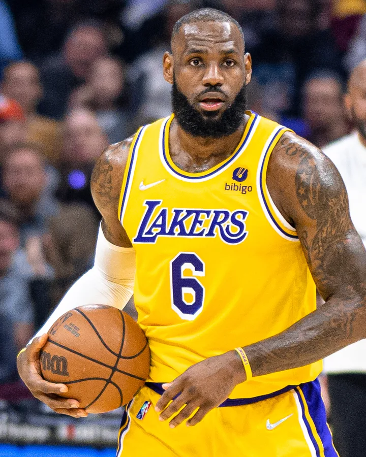 LeBron James 的肖像