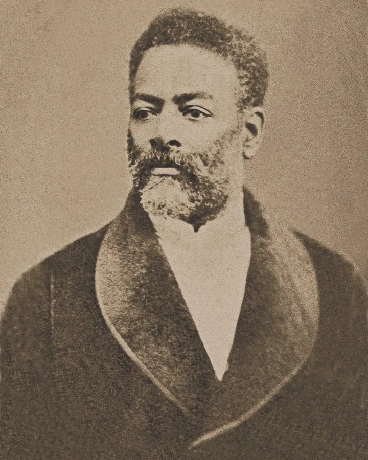 Portrait of Luiz Gama