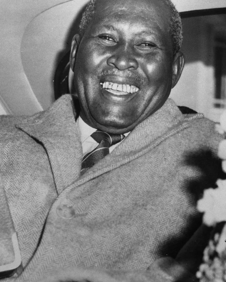 Portrait of Albert Luthuli