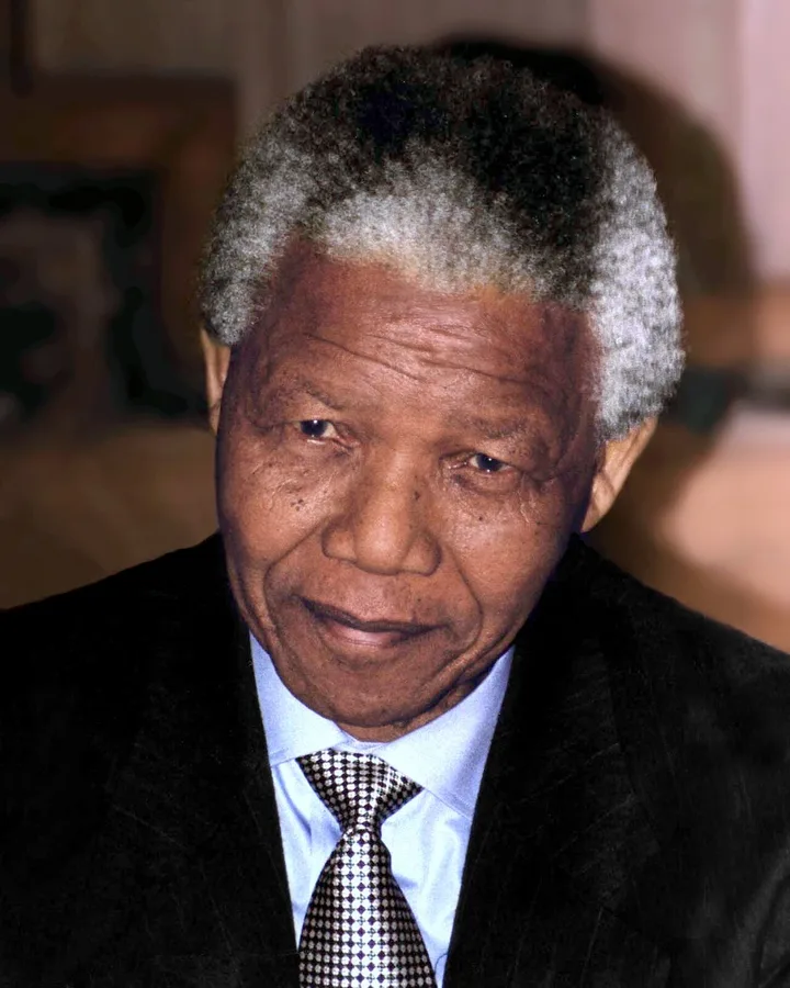 Portrait of Nelson Mandela