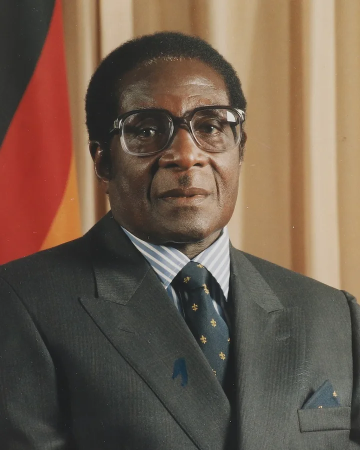 Portrait of Robert Mugabe
