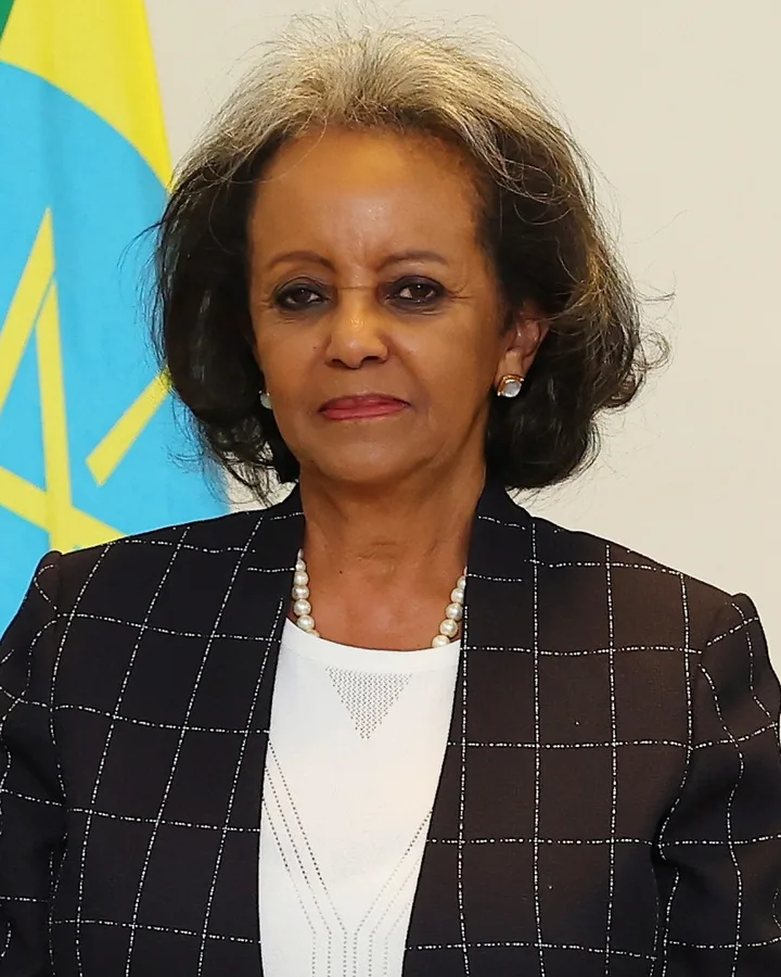 Portrait of Sahle-Work Zewde